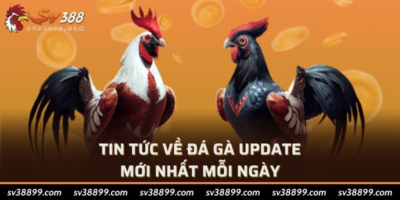 Tin tức về đá gà update mới nhất mỗi ngày